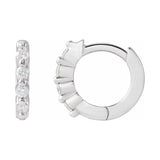 Accented Hinged Hoop Earrings