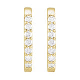 Accented Elongated Hoop Earring