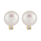 Accented Pearl Earrings