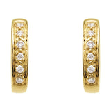 Accented Hoop Earrings
