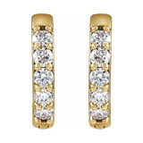 Accented Huggie Earrings