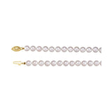 Pearl Necklace or Bracelet