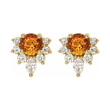 Accented Earrings