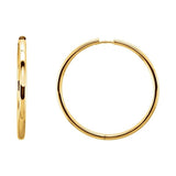 Hinged Hoop Earrings