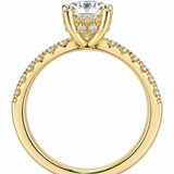 Oval Hidden Halo Engagement Ring