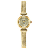 Citizen Gold Tone Stainless Steel Eco Drive Watch