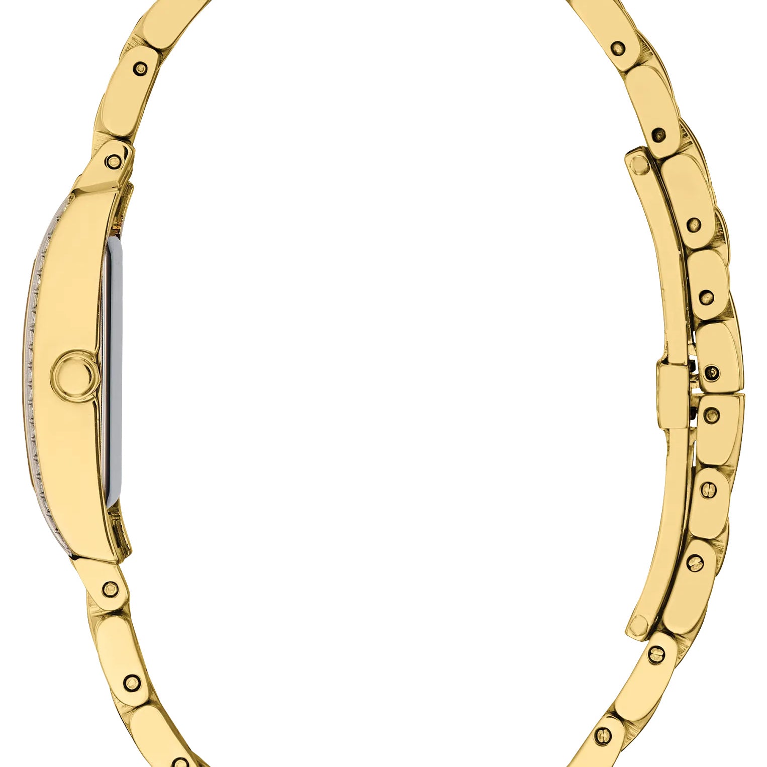 Citizen Gold Tone Stainless Steel Eco Drive Watch