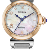 Citizen Two-Tone Stainless Steel Eco Drive Watch