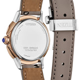 Citizen Two-Tone Stainless Steel Eco Drive Watch