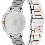 Citizen Two-Tone Stainless Steel Eco Drive Watch